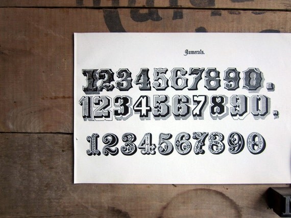 typography numbers page numerals from 1906 for framing or