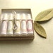 Gift Set of 5 Lip Balms - Your choice of Flavors - Ready to Ship Today