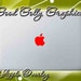 Red apple translucent color overlay THREE SIZES INCLUDED