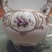 Handpainted Nippon cup and saucer circa 1890-1921- 387