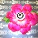 Yellow Eyeball on Flower Hair Clip