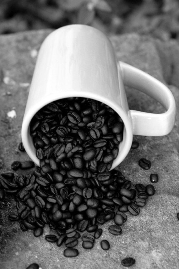 Spill the Beans  fine art black  and white photography a