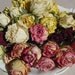 Set of 41 Short Dried Roses... Heads... Rose Buds... - Natural Color - Roses for Luck, Love, Romance and all other Matters of the Heart