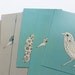Bird Postcards, Green & Grey , Original Illustrations, set of 6 A6
