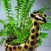 giraffe planter
