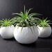 Mini Air Plant Container Pods Set of Three - White Plant Vessel // Planter // Home Decor // Terrarium