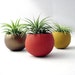 Mini Air Plant Planter Pods - Autumn Set