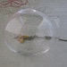 Medium Seated Glass Dome Terrarium