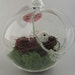 Hanging and Seated Globe White Bird
