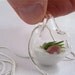 Tiny Silver Beach Pendant Terrarium With Live Air Plant