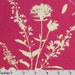 Joel Dewberry Gingseng Wildflowers Pink - Home Decor Fabric