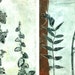 ooak monoprints botanical study series of six