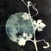 detail ooak Monotypes: pair of Botanical Silhouettes on Vintage Dictionary Sheets