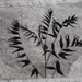 RESERVED, Botanical Print, Sumac Silhouette