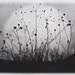 Moonrise, Charmed Meadow, etching on handmade paper