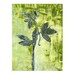 Passion Vine monoprint, ooak gelatin print