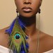 Blue Peacock Feather Earlace