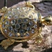 Rhinestone turtle brooch VJSE