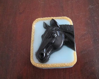 Horse Soap, you pick the scent/color