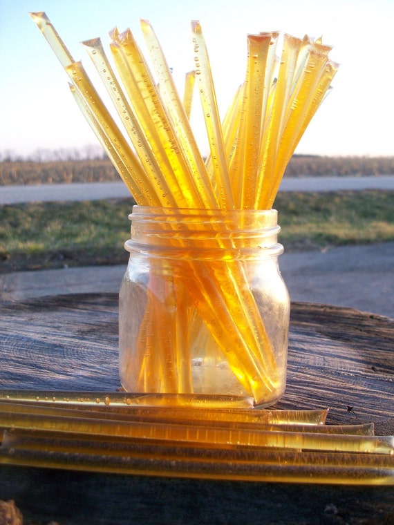 Honey Sticks Fall Honey 100 honey filled straws