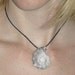 Spiral Sea Shell Necklace