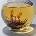 Blooming Green Tea - 5 assorted blooms