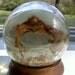 Very Cool Encased Bat in Glass Paperweight