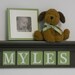 Green and Brown Personalized Baby Boy Nursery Decor 24" Brown Shelf With 5 Wooden Wall Letters - MYLES