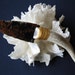 Knife, Flintknapped obsidian w/ antler tine handle