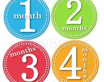 FREE GIFT Baby Month Stickers Baby Monthly Photo Stickers Month Sticker Monthly Baby Milestone Stickers Monthly Bodysuit Stickers