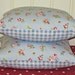 2 Pillow Cushion Covers 16 inch Blue Shabby Chic Style Rosebud Design backed with Pale Blue Gingham Print