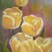 Original Oil Tulip Painting - Flowers - Still Life Floral - Spring Garden - yellow Purple - fine art home decor - Impressionist - wall art