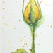 Language of Flowers ACEO Yellow Rose bud "Infidelity" watercolor
