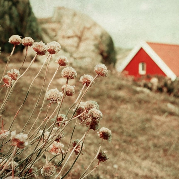 Skandinavische kunst kunst fotografie die drucken blumen