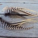 Feather Jewelry Mixed Long Feather Earrings Boho Gypsy Hipster Jewelry