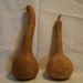 Two Cleaned Dipper Gourds