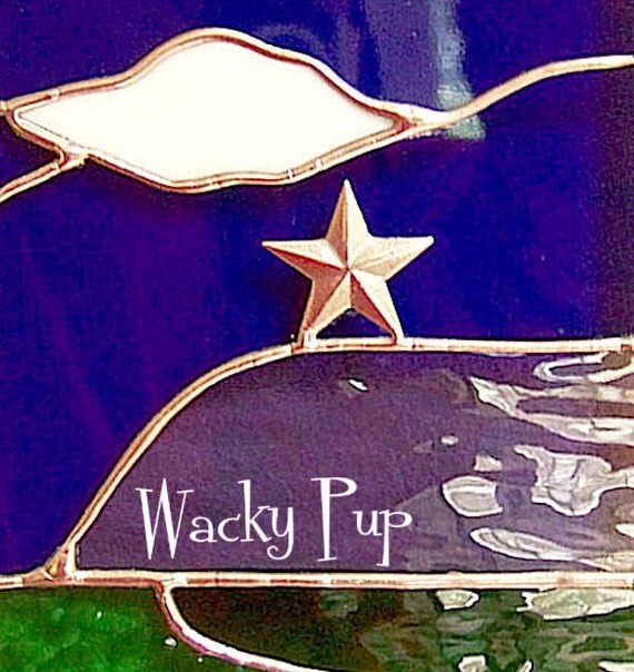 Roanoke VA Mill Mountain Star Stained Glass Window by WackyPup