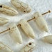 10 Stone Beads Bone color Real Howlite spikes - teeth - Fangs - Points 6mm x 19mm Natural Beads