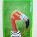 Flamingo Portrait N2. ACEO's card 2.5"x3.5" original acrylic painting. 2011