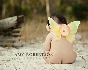 SPRING LOVE - Pink and Yellow Wing Set - Newborn and Up