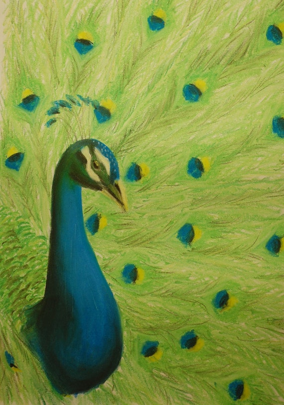 Download Peacock Original Drawing in Colorful Pastels