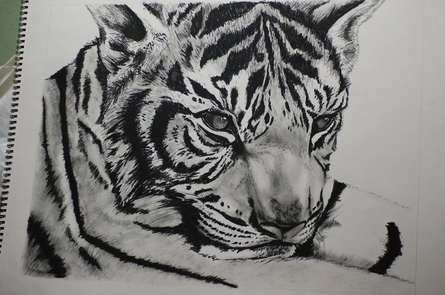 Tiger Original Charcoal Drawing 18 x 23 by EssLynn on Etsy