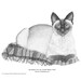 Pen And Ink Pointillism Illustration Print Drawing Realistic Art Siamese Cat On Wool Rug Black And White Animal Art Monochrome Art Cat Art