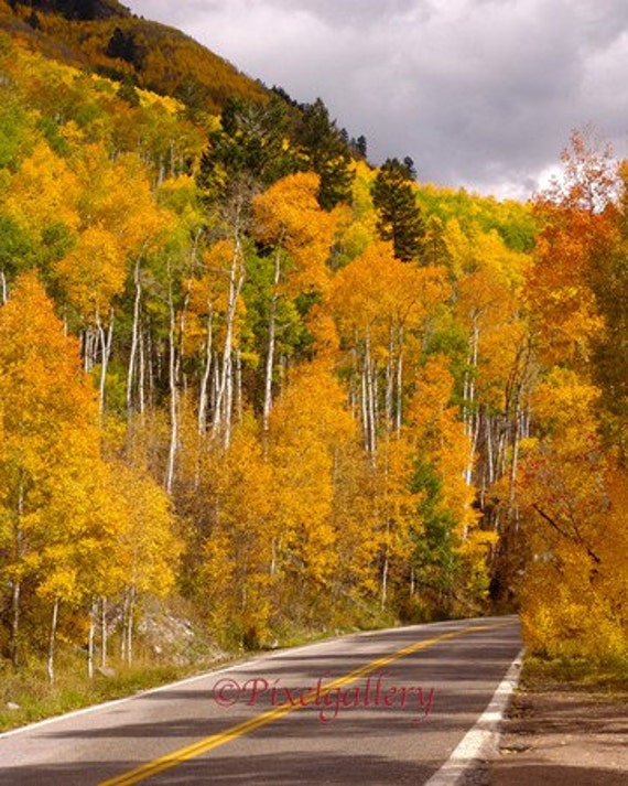 Items Similar To Fall Colors On Independence Pass Aspen