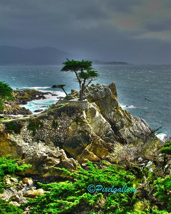 Cypress ford seaside ca #10