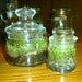 2 Moss Terrariums - Great as a Gift or for the Home and Office - Upcycled/Recycled Glass Jars