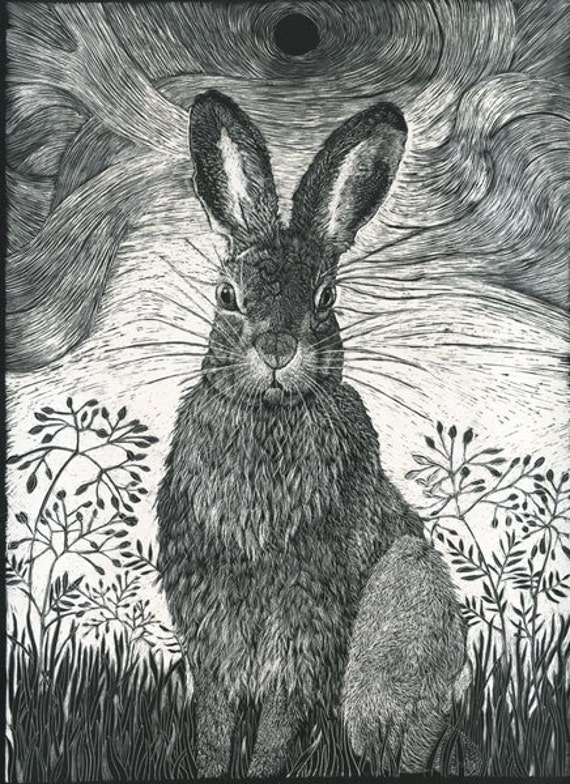Hare in the grass Fine Art Print from Scraperboard Original