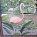 Vintage 40s-50s Pink Flamingo Mirror & Wall hanging - 20" x 30"