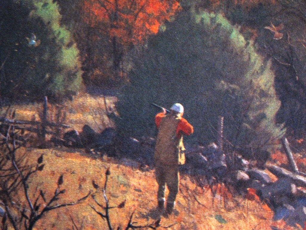 Vintage 1930s/1940s Bird Hunting Scene Print New England