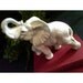 Vintage White Elephant